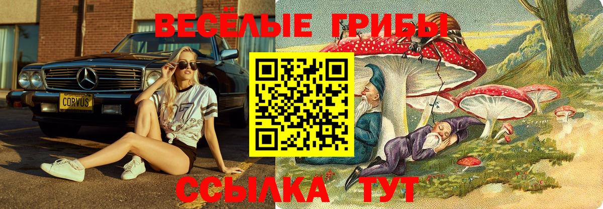 Псилоцибиновые грибы Magic Shrooms  наркотики  Мариинск  Вход с VPN 